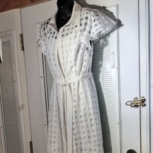 Elegant White Sheer Dress